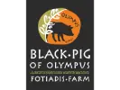 Fotiadis - Black Pig logo