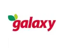Galaxy logo
