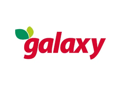 Galaxy logo